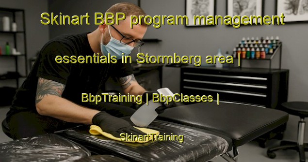 Skinart BBP program management essentials in Stormberg area | BbpTraining | BbpClasses | SkinartTraining-South Africa